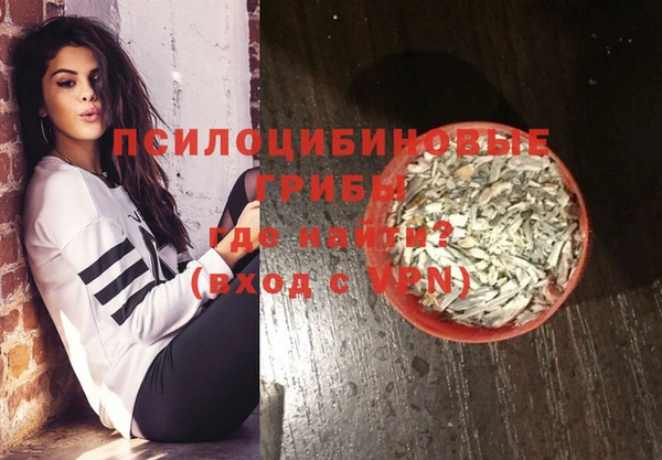 не бодяженный Бородино