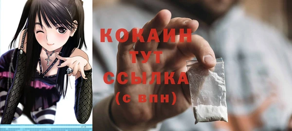 не бодяженный Бородино