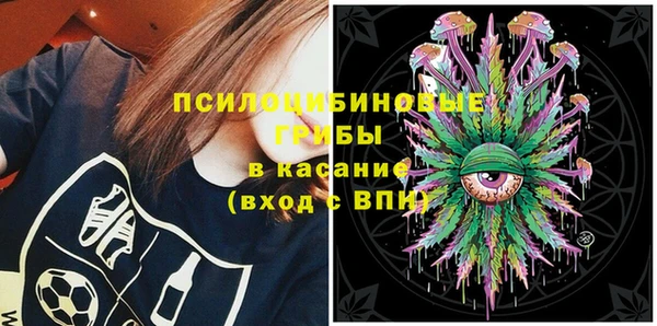 не бодяженный Бородино