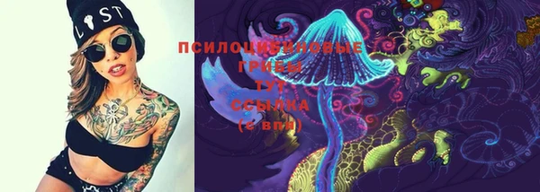 не бодяженный Бородино
