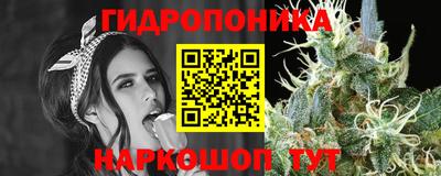 мдпв Бийск