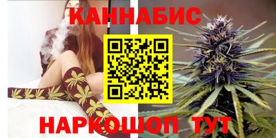 сатива Беслан