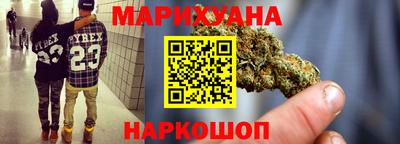 мдпв Бийск