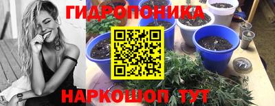 гидра Балашиха