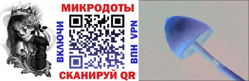 Псилоцибиновые грибы мухоморы Бугульма
